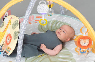 Taf Toys Savannah Adventures 360° Activity Gym