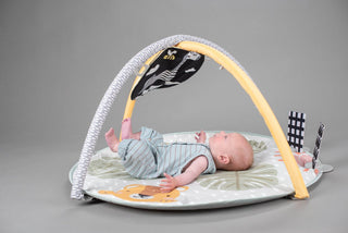 Taf Toys Savannah Adventures 360° Activity Gym