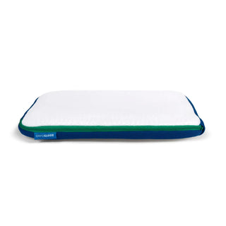 AeroSleep Sleep Safe Pillow