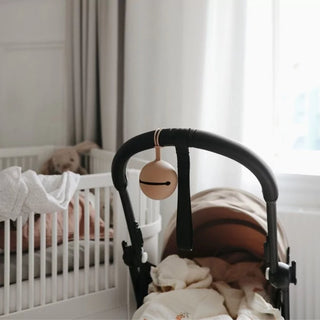 Mushie Pacifier case - Cloudy mauve