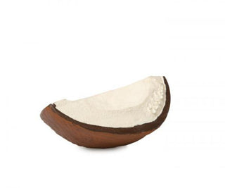 Oli & Carol Coco the Coconut
