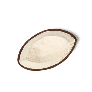 Oli & Carol Coco the Coconut