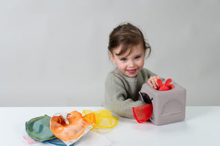 Taf Toys Pop-up Tissu Box